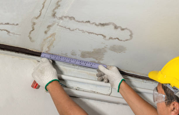Reliable Structural Drying contractor in Morley, MI by Water Damage Irwin